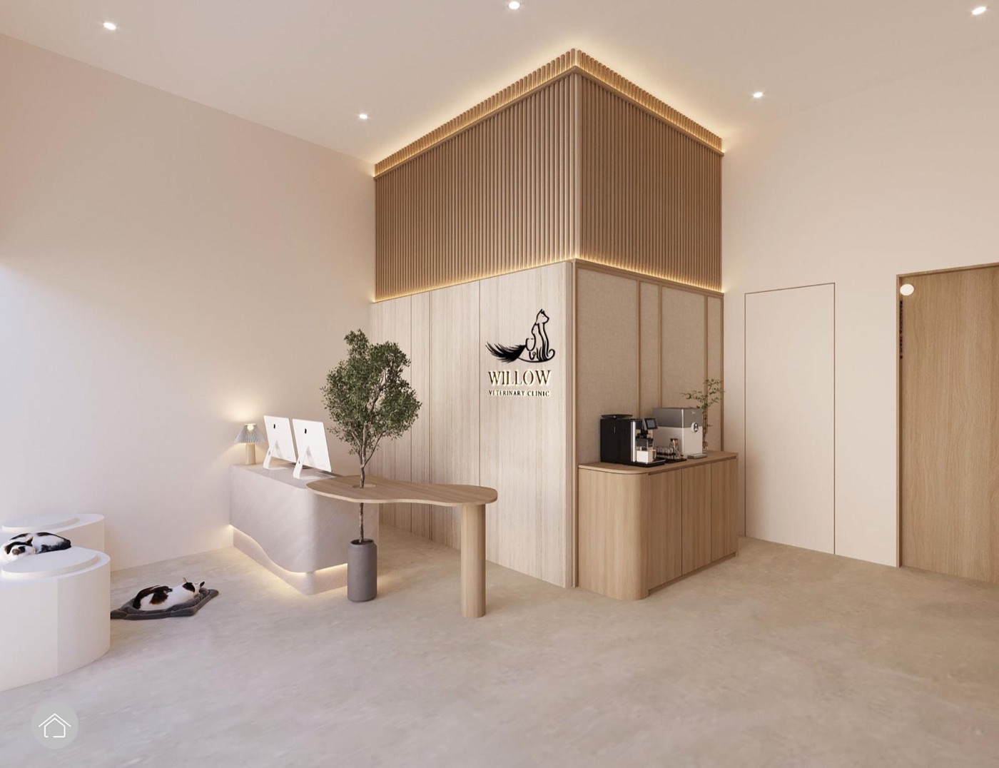 Willow reception — warm, naturally lit clinic interior