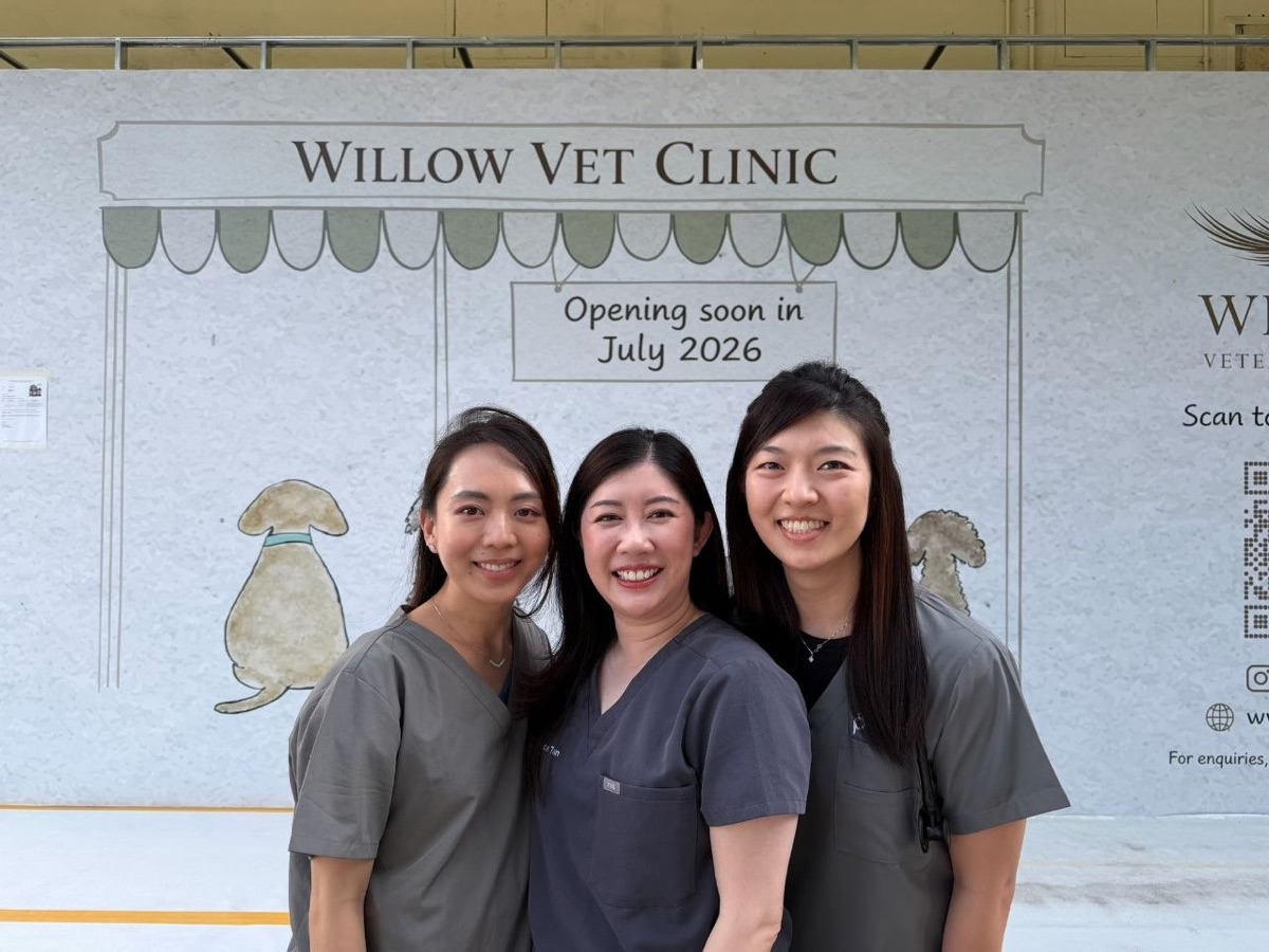 The Willow team at 53 Upper East Coast Road